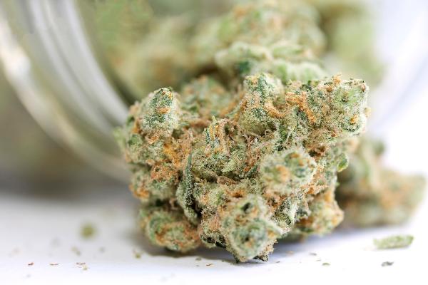 Minnesota Report Finds Medical…