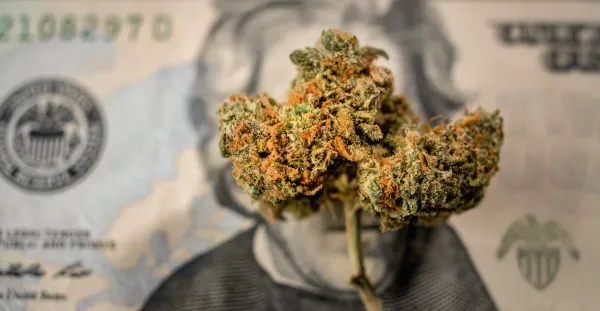 The States With the Cheapest Legal…
