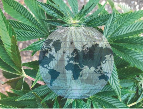 A fresh look at CBD: Science and&hellip;