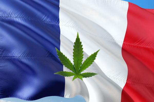 photo of French lawmakers push cannabis legalization plan despite opposition image