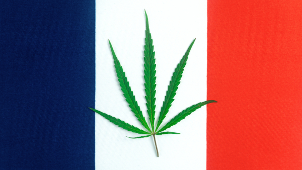 France: A Last Bastion of Cannabis&hellip;
