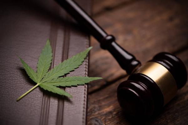 TerrAscend Moves to Dismiss Federal…
