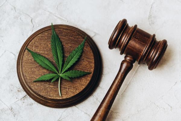 New York Appeals Court Strikes Down…