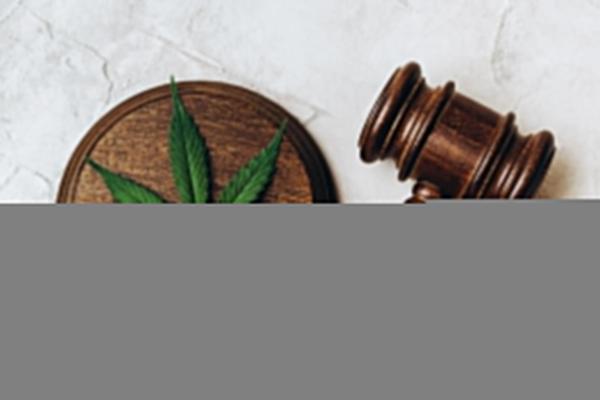 New York Appeals Court Upholds State…