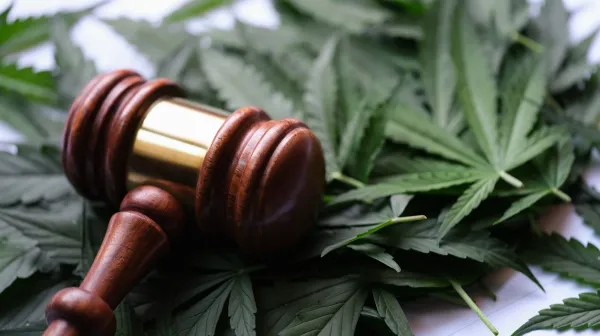 Federal Appeals Court Denies Police…