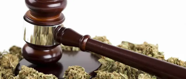 photo of New York Appeals Court Tosses Gun Conviction, Rules Search Unlawful Despite Suspected Marijuana Sales image