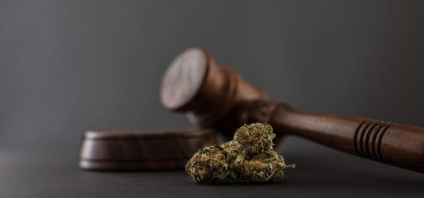 Alabama Parents Sue Medical Cannabis…
