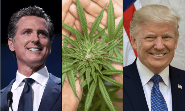 Gavin Newsom Jokes He’ll Legalize…