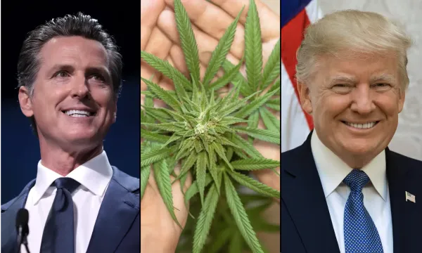 Newsom Declares That ‘Cannabis Is Now&hellip;