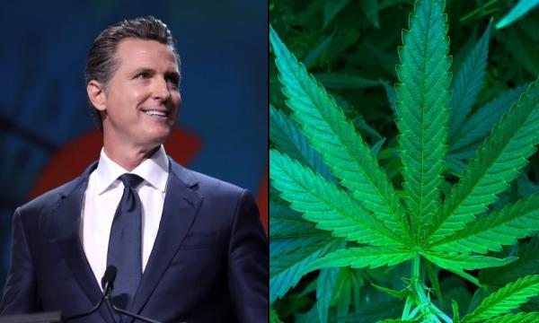 photo of California Governor Says Marijuana Legalization Is A ‘Civil Rights’ Matter Amid Mass Protests Over Racial Injustice image