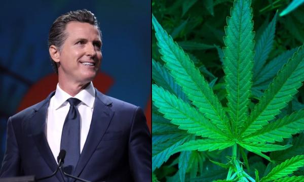 photo of California Governor Unveils Emergency Rules To Ban Hemp Products With Any ‘Detectable Amount’ Of THC image