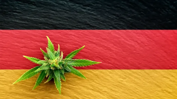 Study Finds German Medical Marijuana&hellip;
