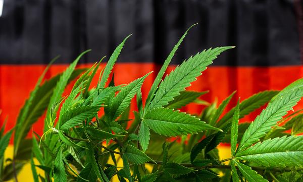 Germany’s Emerging Cannabis Industry By&hellip;