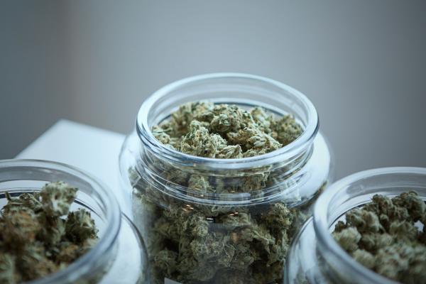 Michigan Lawmakers Embrace Marijuana Tax…