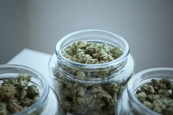 Kentucky Now Has Medical Marijuana…