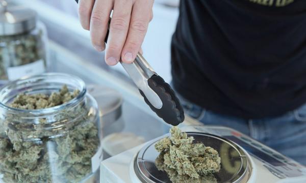 Ohio Regulators Begin Marijuana…