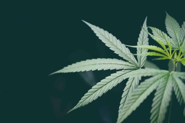 Bipartisan House Lawmakers Reintroduce&hellip;