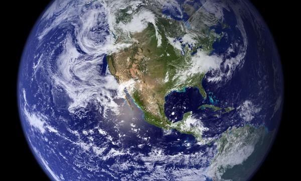 The International Medical Cannabis…