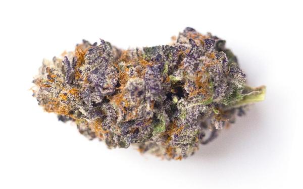 Florida Medical Marijuana Purchases…