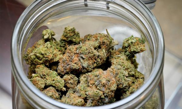 Strain Review: Grape Ape