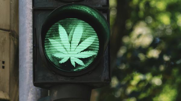 NORML Op-Ed: Vote this November to Keep…