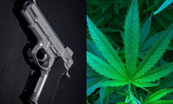 Letting Marijuana Users Have Guns Poses…