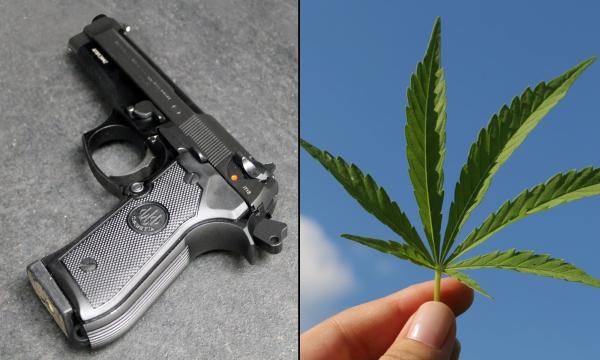 DOJ Knew Gun Ban For Marijuana Users Is…