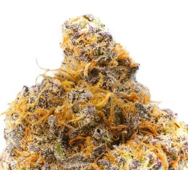 The Top-Selling Cannabis Strain in All…