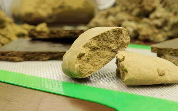 The best strains for making hash