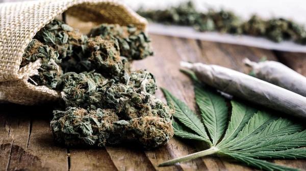 Hawaii Police Used Medical Marijuana…