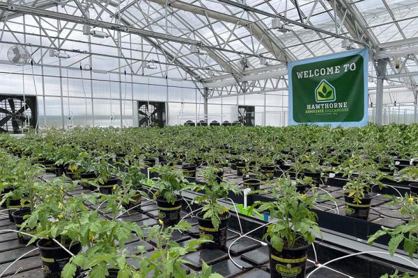 Scotts Miracle-Gro aims to break up with Hawthorne as growth prospects dim