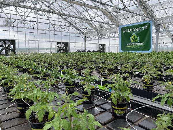 photo of Scotts Miracle-Gro says ‘deal making’ gives Hawthorne high hopes image