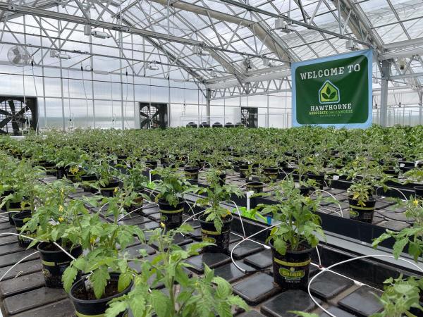 photo of Scotts Miracle-Gro to hold onto Hawthorne as division returns to profitability image