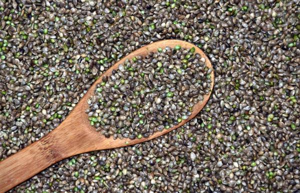 Cannabis Seeds Launched To Orbit By…