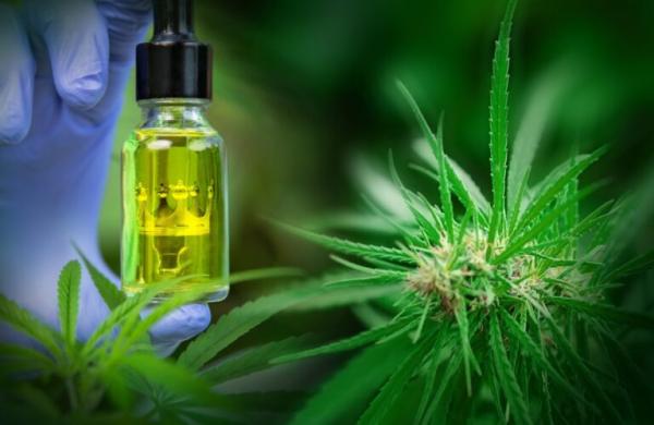 Building the Future of Hemp Processing&hellip;