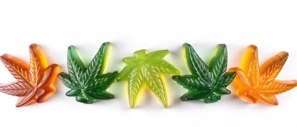 U.S. House Passes Spending Bill Delaying Federal Hemp THC…