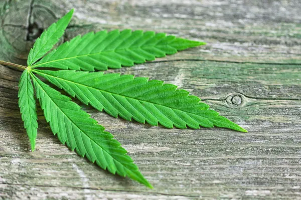 U.S. Senate Approves Bill That Would&hellip;