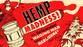 photo of Hemp Madness: Why The Government Is Waging War Against Marijuana’s Legal Cousin image