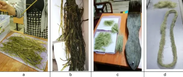 Researchers Develop Microbial Process That Produces…