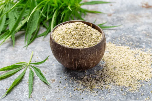 Study Finds Hemp Seed Polysaccharides&hellip;