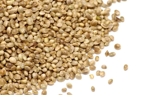 Study Finds Hemp Seed Beverage May Reduce Cholesterol,…