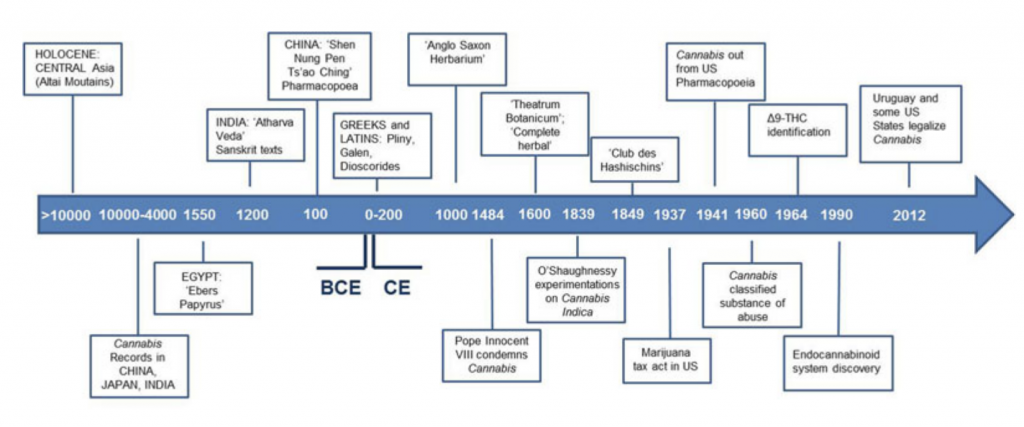 photo of Study Documents Humanity’s Use Of Marijuana Over 10,000 Years Of History image