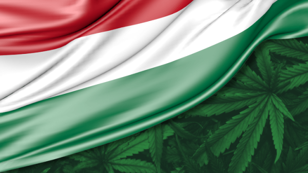 A Path Forward for Cannabis Freedom in&hellip;