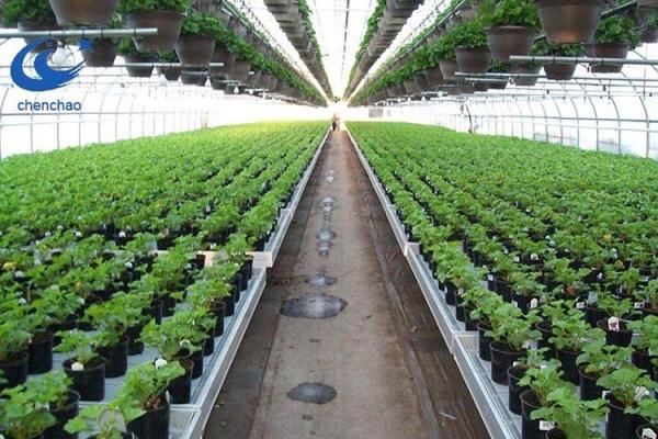 photo of Hydrofarm reports $13.1M net loss amid third-quarter grow glut image