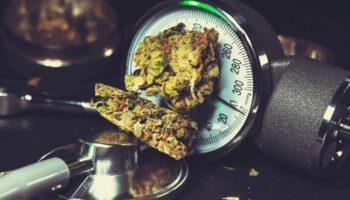 Analysis: Lifetime Cannabis Use Not…