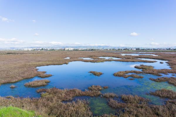 Newsbrief: NorCal Cannabis requires&hellip;