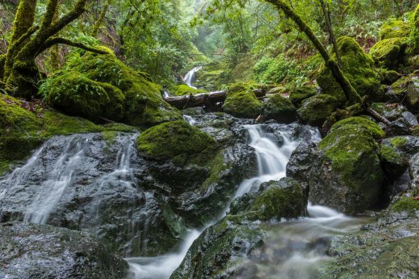 Pumped groundwater dries up streams in…