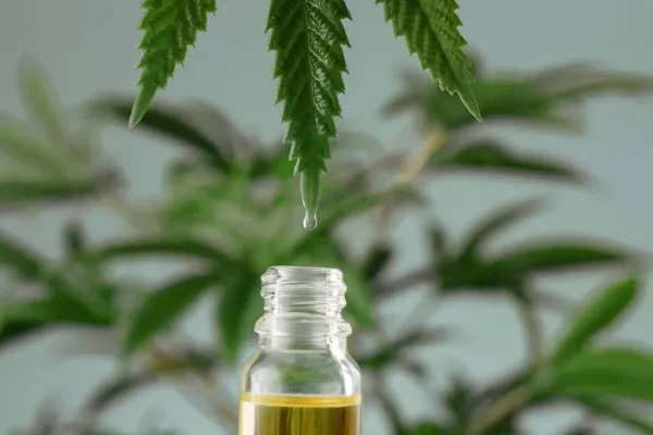 photo of Systematic Review Finds CBD Produces Antidepressant-Like Effects image