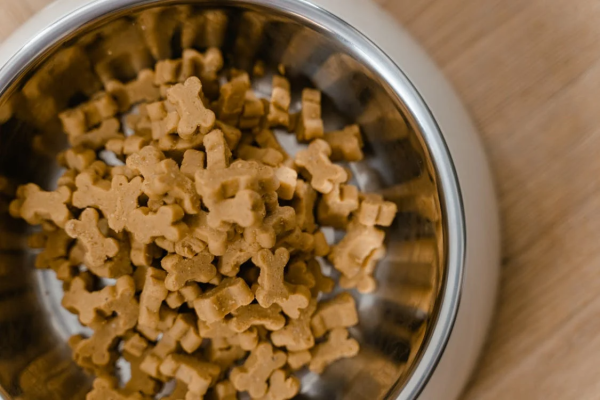 Why Are CBD Dog Treats The Smart Choice…