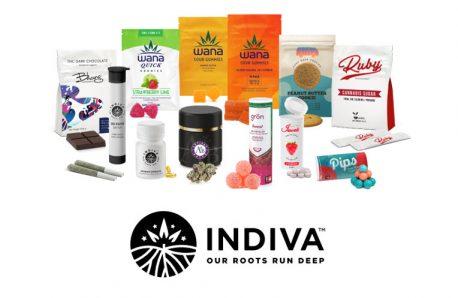 photo of Business for Sale – Indiva Limited image